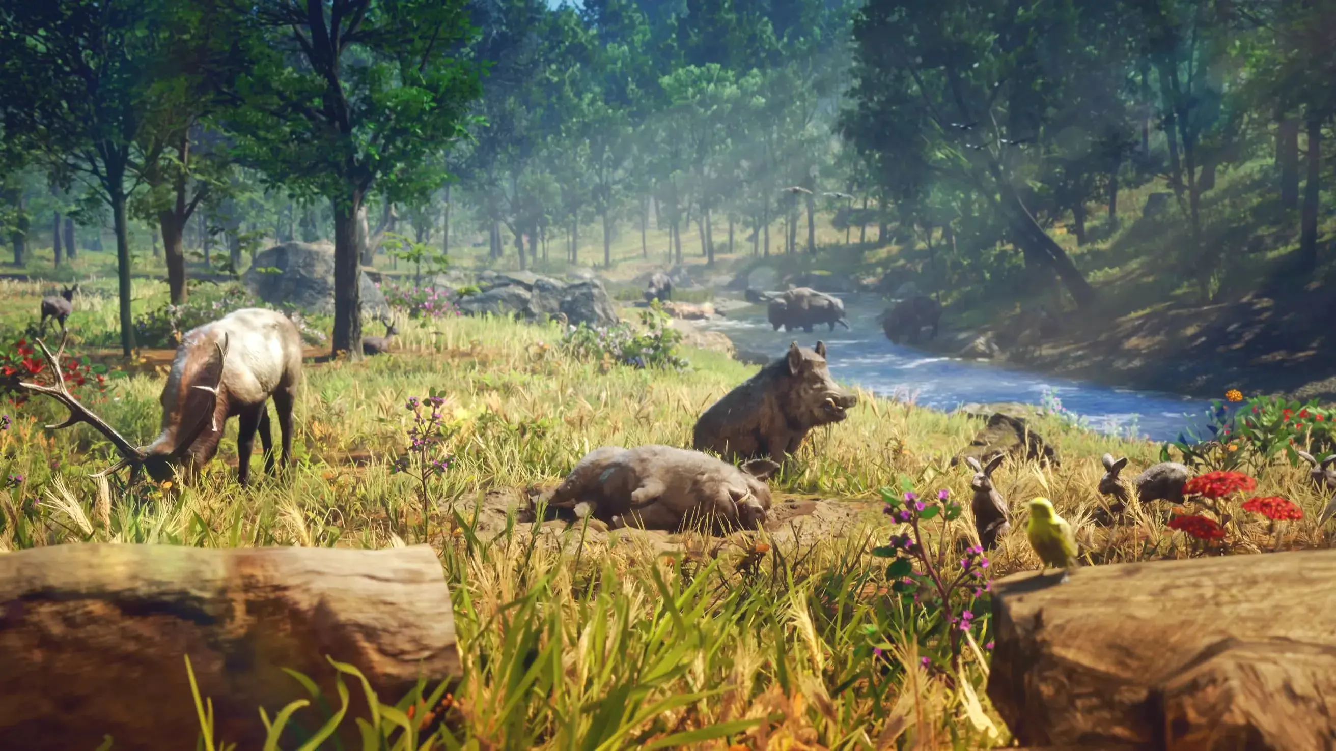 GTA 6: Red Dead Redemption 2 versteckt sich im Extended Look!