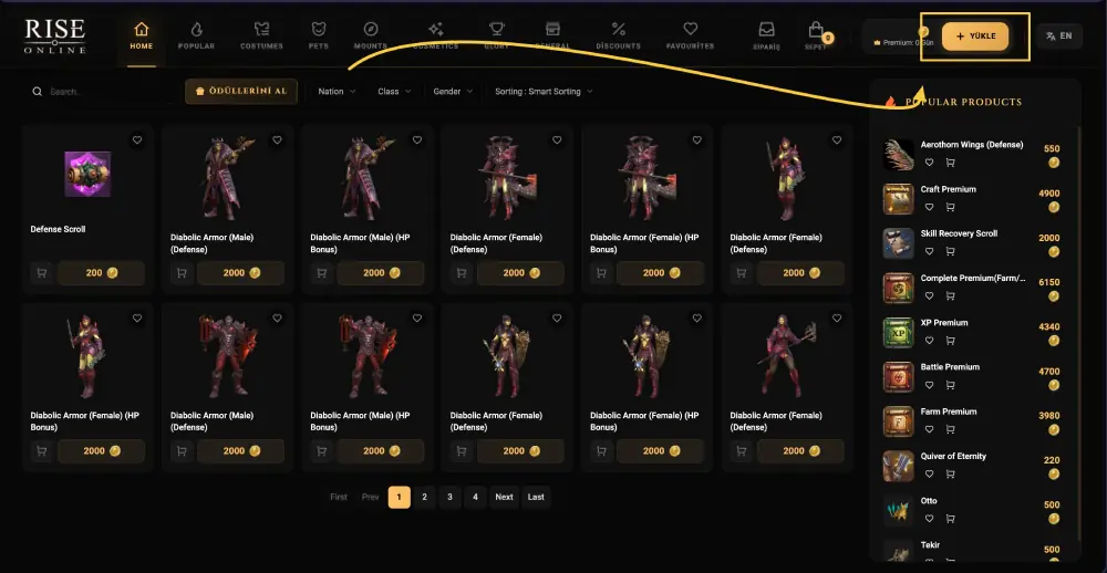 Rise Online E-pin (Cash & Premium) Auflade-Anleitung