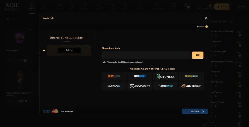 Rise Online E-pin (Cash & Premium) Auflade-Anleitung